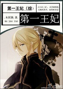 (綜漫同人)第一王妃