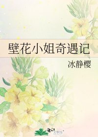 壁花小姐奇遇記
